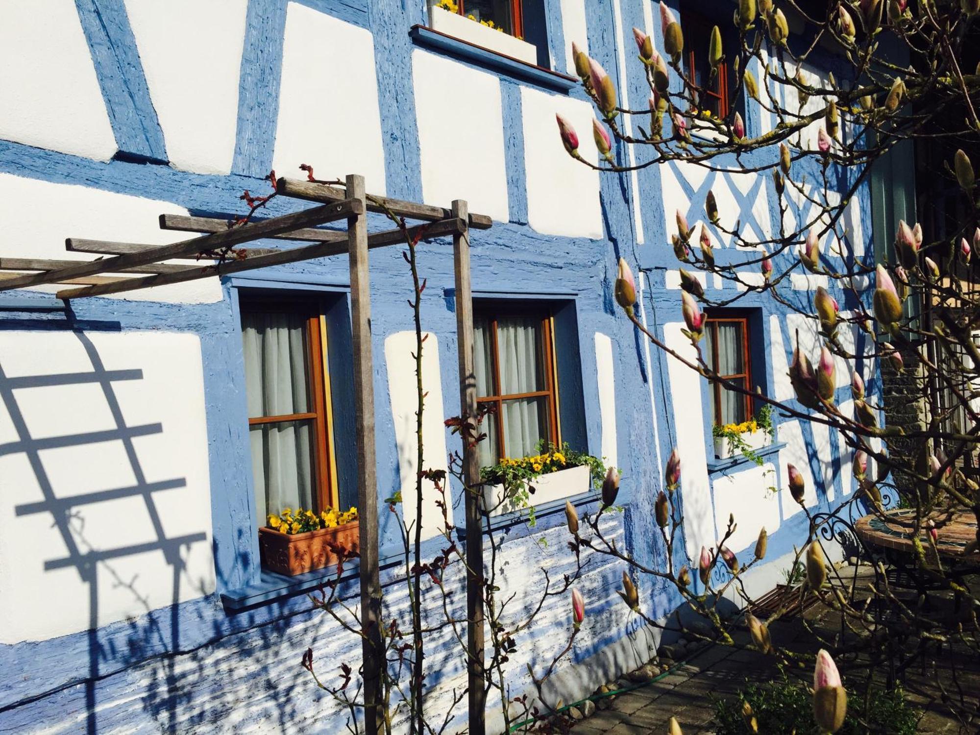 Landhotel Elfenhof Kippenhausen Exterior foto
